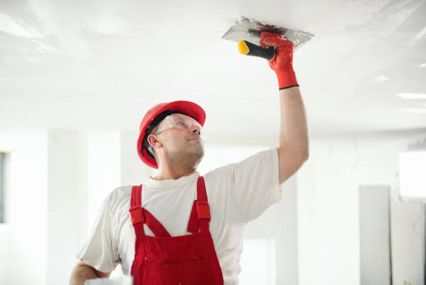 Best Ceiling Drywall Installation  in Bonney Lake, WA