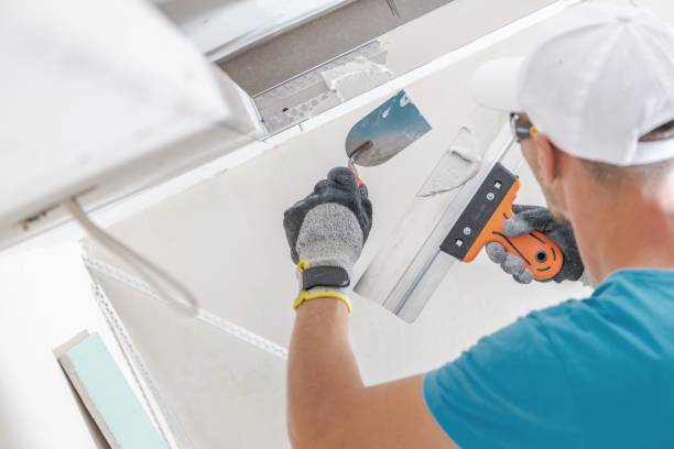 Best Drywall Installation  in Bonney Lake, WA